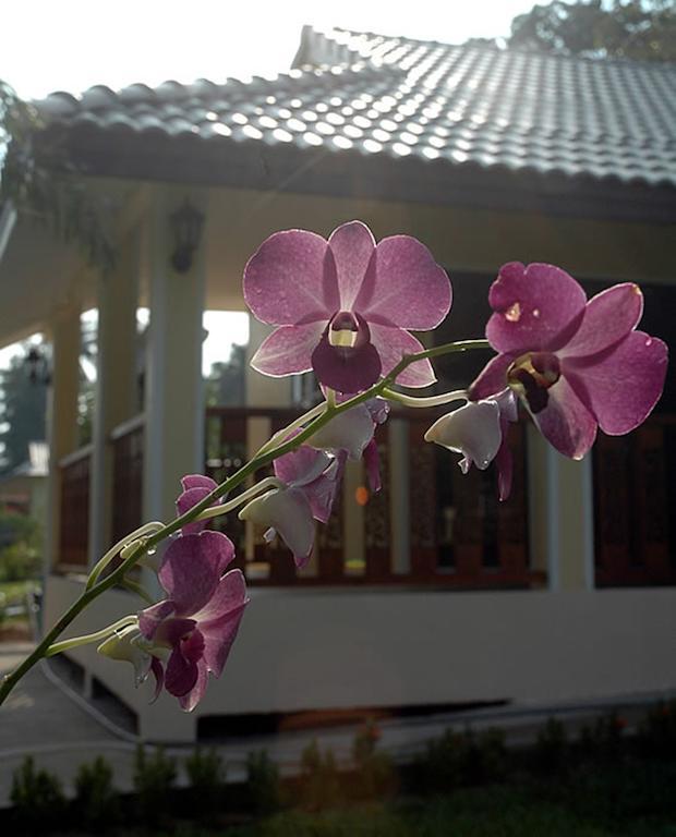 Apple Bungalows Bang Saphan Esterno foto