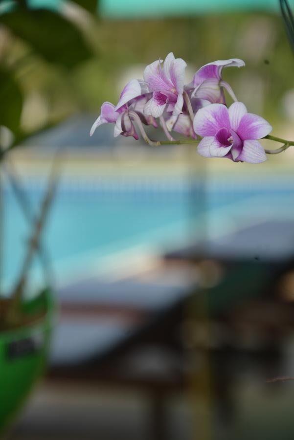 Apple Bungalows Bang Saphan Esterno foto