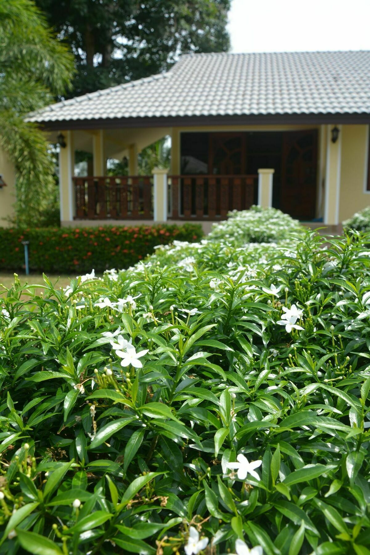 Apple Bungalows Bang Saphan Esterno foto